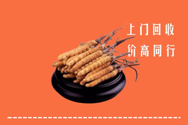 高价求购：达尔罕茂明安联合旗回收散虫草