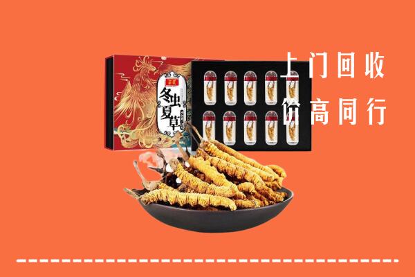 达尔罕茂明安联合旗回收虫草